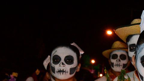 Estas flores son indispensables para celebrar el Día de Muertos.
