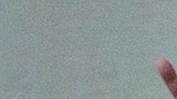 Donald Trump y su hijo, Donald Trump Jr.