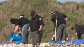 La policía no ha dado mayores detalles, o si las víctimas estan relacionadas con el caso de una pareja desaparecida de New Hampshire.