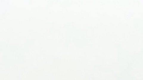 El Twitter de la agencia de transporte actualiza el estado de las carreteras.