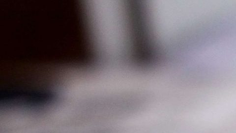 El desempleo de los latinos quedó en el 4-1%./Archivo