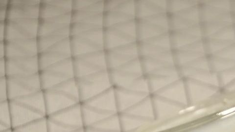 Crédito:Mónica Stawow/Pixabay