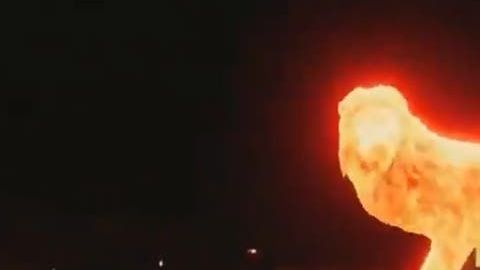 El León de Fuego causó furor en la inauguración.