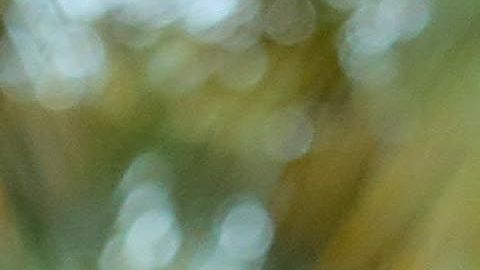 El ganador de Exatlón 2019