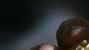 Elegir las opciones más saludables cuando consumas comidas rápidas es posible.