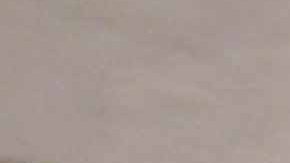 Nemanja Nikolic ya no regresa con el Chicago Fire para 2020. (Javier Quiroz / La Raza)