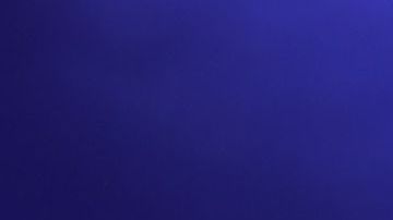 La gente se encontraba rezando debajo de un árbol.