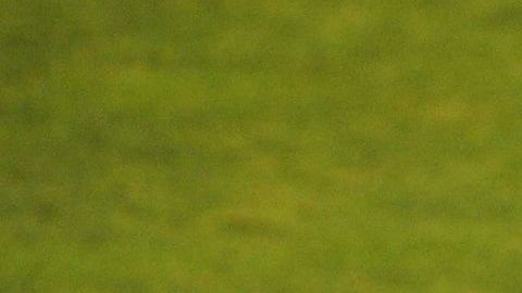 Javier Aguirre rechazó una propuesta para dirigir a Chivas.