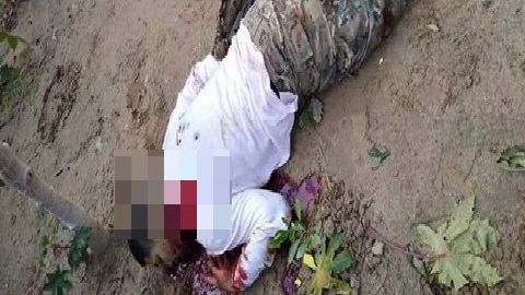 Fotos: Así quedaron 6 de la Tropa del Infierno del Cártel del Noreste tras encarar a soldados