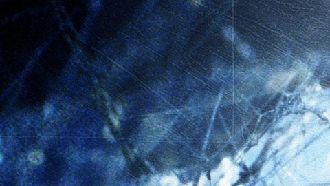 La obra de  J. R. R. Tolkien fue llevada al cine.