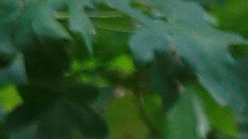 Kate Middleton/Getty Images