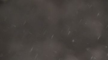 Las autoridades trabajan con la familia para dar con las personas desaparecidas.