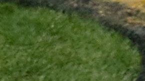 Pittsburgh quiere su sexta victoria ante uno de sus rivales históricos.