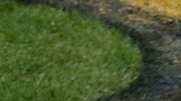 Pittsburgh quiere su sexta victoria ante uno de sus rivales históricos.