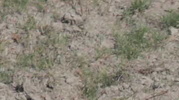 CBP Conducts Helicopter Patrols Of U.S. - Mexican Border