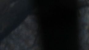 Un trabajador de rescate y su perro entrenado buscan restos humanos en Paradise, el 16 de noviembre de 2018.