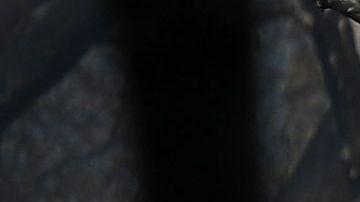 Un trabajador de rescate y su perro entrenado buscan restos humanos en Paradise, el 16 de noviembre de 2018.