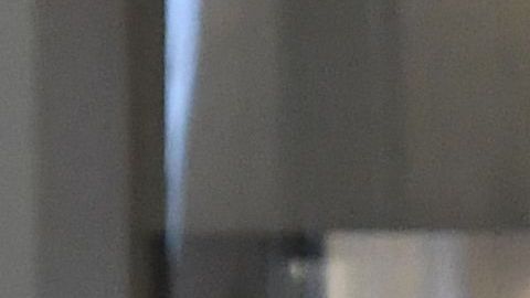 Placencia aceptó que descongelaran la carne para realizar la investigación.