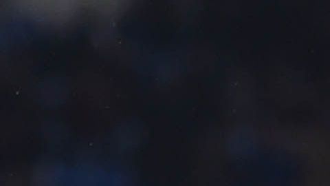 Luka Modric y Sergio Ramos compraron esculturas de hormigas a un artista londinense y serán parte de una mega obra de arte grupal.