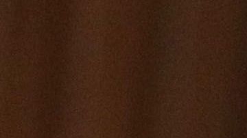 AOC se presenta a su reelección en 2020.