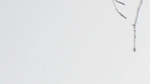 Boston es una de las ciudades donde la nieve podría impactar esta semana.