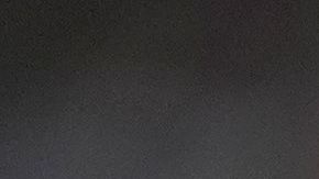 Javier "Chicharito" Hernández.