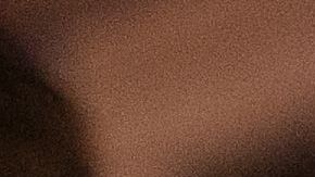 Los oficiales de HSI se coordinan con otras agencia para ubicar a depredadores de menores.