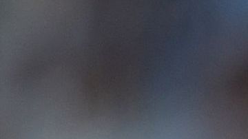 El jugador del Porto desmintió que se haya desvelado en la celebración.