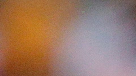 El jugador sería el primer fichaje del directivo al frente del 'rebaño'.