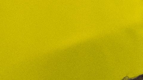 En la primera llamada Trump felicitó al todavía electo presidente ucraniano.