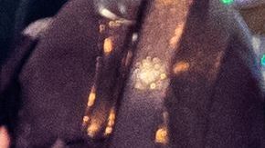 AUSTRIA-US-MUSIC-CHER