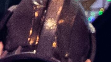 AUSTRIA-US-MUSIC-CHER