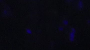 El joven de 22 años quiere conocer al Diego.