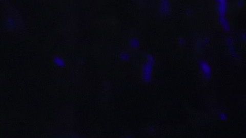 El joven de 22 años quiere conocer al Diego.