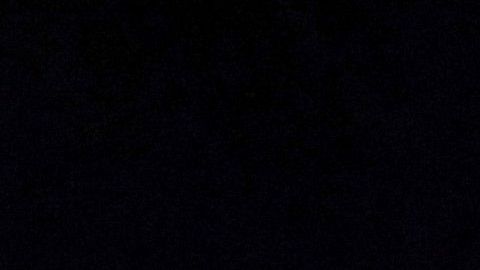 Doce candidatos demócratas participaron en el debate en Ohio.