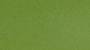 El jugador mexicano del Ajax Edson Álvarez recibió un tremendo codazo en la cara durante el juego ante el PEC Zwollelo que le ocasionó un diente roto y tres puntos de sutura