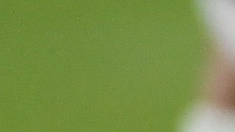 El jugador mexicano del Ajax Edson Álvarez recibió un tremendo codazo en la cara durante el juego ante el PEC Zwollelo que le ocasionó un diente roto y tres puntos de sutura