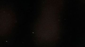 El jugador sufrió una lesión el sábado pasado con el Chelsea.