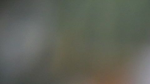 El jugador tiene ascendencia mexicana.