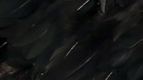 Angelina Jolie y sus hijos.