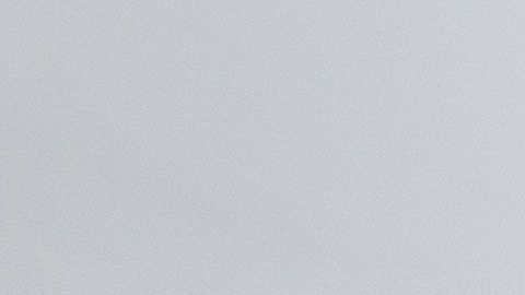 Activistas y Soñadores se desplazaron a Washington para audiencias de DACA.