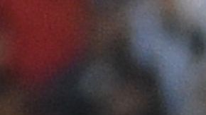 Última fecha FIFA del año con actividad de selecciones sudamericanas.