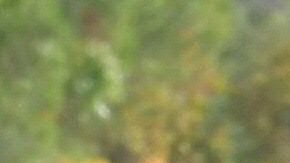 Un altar en Central Park en recordación a las víctimas del tiroteo reportado este jueves en la secundaria Saugus.