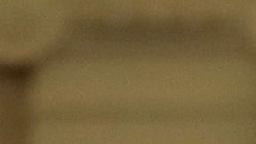 Fiona Hill y David Holmes.