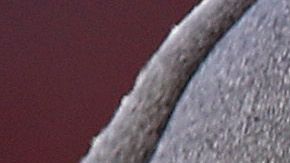 Se acabó la temporada para Cam Newton.