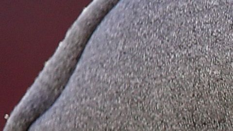 Se acabó la temporada para Cam Newton.