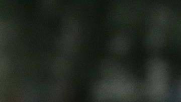 El teniente coronel Alexander Vindman es uno de los "testigos estrella".