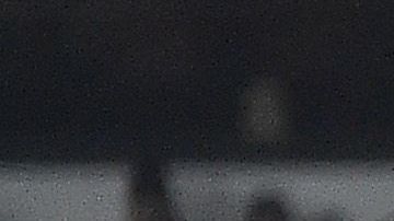 Kenan Bajric fue dado de alta en Inglaterra.