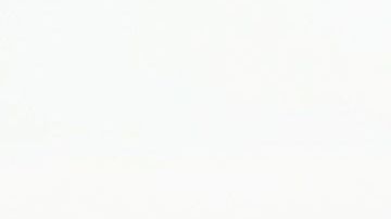 El presidente Trump escribió parte de una conversación telefónica.