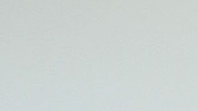 El presidente Trump y la primera dama Melania se mantuvieron lejos de Conan.